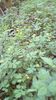 IMG-20180501-WA0036