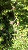 IMG-20180501-WA0040