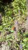 IMG-20180501-WA0044