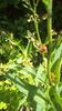 IMG-20180501-WA0046