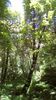 IMG-20180501-WA0072