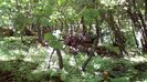 IMG-20180501-WA0086