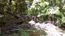 IMG-20180501-WA0088