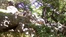 IMG-20180501-WA0096