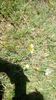 IMG-20180501-WA0100