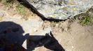 IMG-20180501-WA0114