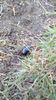 IMG-20180501-WA0120