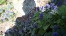 IMG-20180501-WA0122