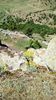 IMG-20180501-WA0128