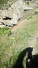 IMG-20180501-WA0132