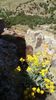 IMG-20180501-WA0140
