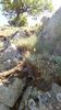 IMG-20180501-WA0144