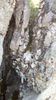IMG-20180501-WA0154