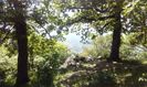 IMG-20180501-WA0159