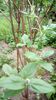 IMG-20180503-WA0085