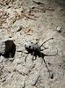 IMG-20180503-WA0005