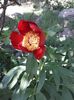 IMG-20180503-WA0021