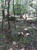 IMG-20180503-WA0089
