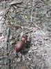 IMG-20180503-WA0139