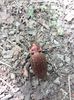 IMG-20180503-WA0140
