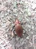 IMG-20180503-WA0141