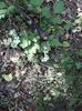 IMG-20180503-WA0142