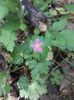 IMG-20180503-WA0143