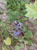 IMG-20180503-WA0144