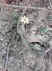 IMG-20180503-WA0147