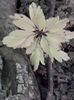 IMG-20180503-WA0149