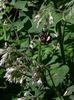 IMG-20180503-WA0151