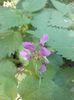 IMG-20180503-WA0153