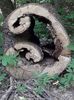 IMG-20180503-WA0155