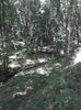IMG-20180503-WA0156