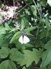 IMG-20180503-WA0158
