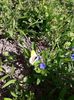 IMG-20180503-WA0159