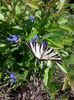 IMG-20180503-WA0164