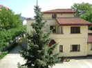 Molid argintiu