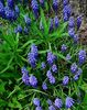 Nuovo_1_Photo7261
