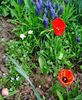Nuovo_1_Photo7262
