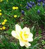Nuovo_1_Photo7263