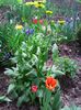 Nuovo_1_Photo7264
