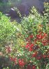 Nuovo_1_Photo7302