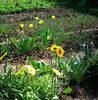 Nuovo_1_Photo7366