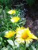 Nuovo_1_Photo7402