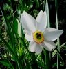 Nuovo_1_Photo7407