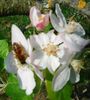 Nuovo_1_Photo7394