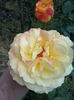 CAM00359