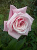 CAM00365