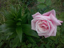 CAM00366